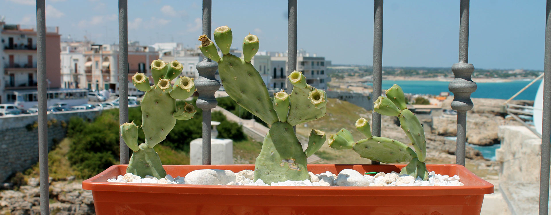 The view is lovely from the panoramic terrace with solarium